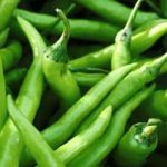 Tabasco Pepper and its benifits Hari Mirch Green Chilli ke fawaid in Urdu Hindi