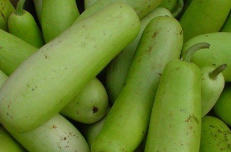 Green Pumpkin or kaddu and its benifits in Urdu Hindi