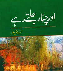 Aur Chinar Jaltay Rahay Urdu Novel By A Hameed