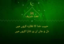 habib e khuda ka nazara kroun main