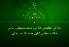 khuda ki azmatein kia hain muhammad mustafa janein