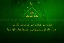 mery nabi pyary nabi hy martba bala tera
