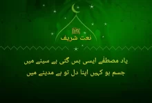 yaad e mustafa aisi bas gaye hy seny main