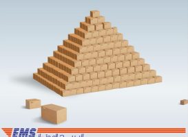 EMS Pyramid Animation